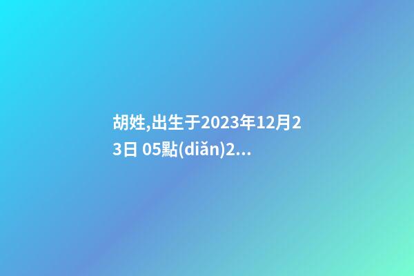 胡姓,出生于2023年12月23日 05點(diǎn)24分，幫忙八字測算并起名